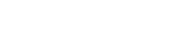 Ronnin