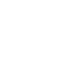 Lisowski